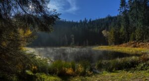 Die deutschen Yoga Hotels im Schwarzwald sind sehr beliebt