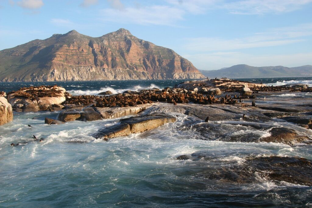 Abenteuer in Südafrika